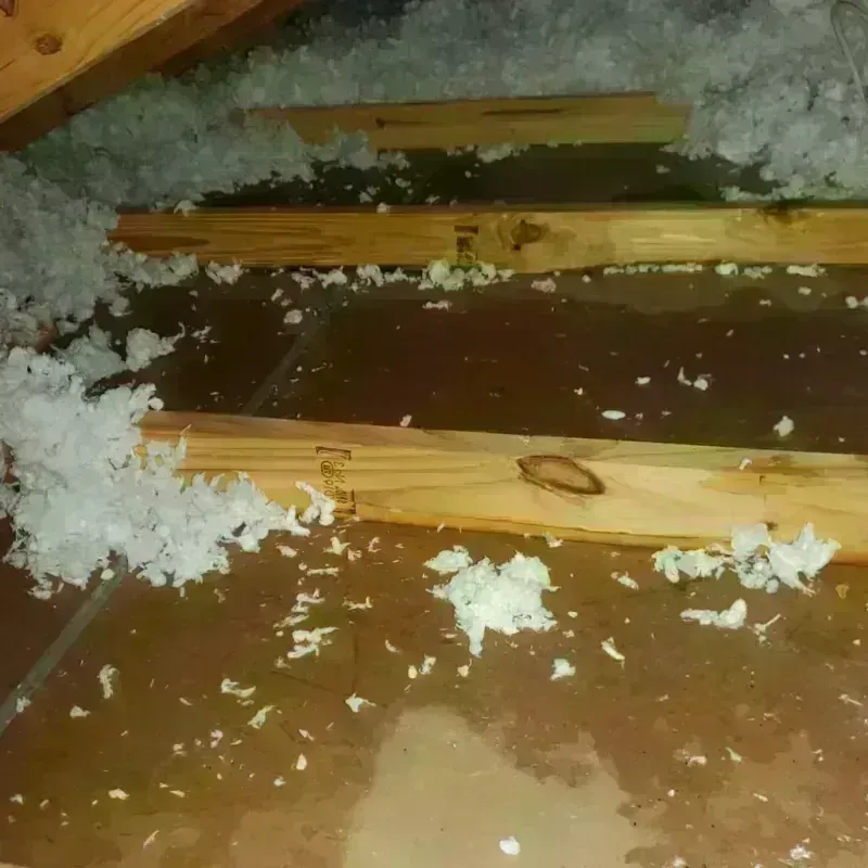 Attic Water Damage in Hudson, CO