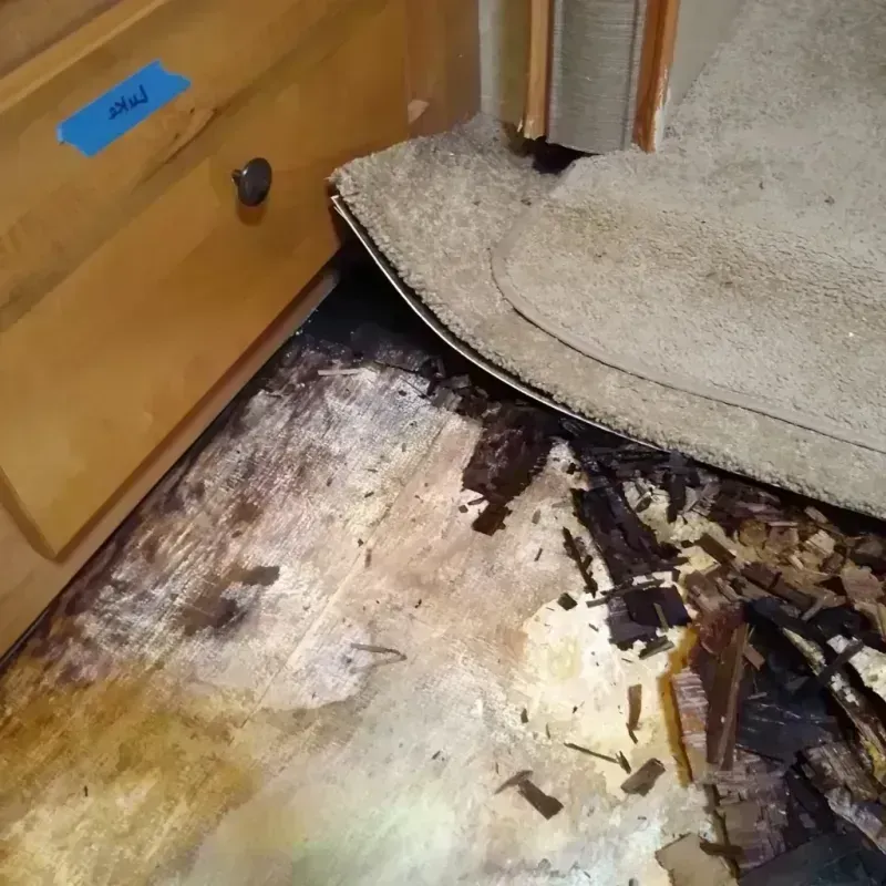 Wood Floor Water Damage in Hudson, CO